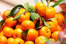 橘子可以放多久？為什么小蘇打可以給橘子保鮮？