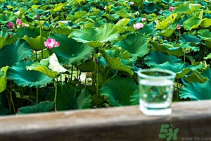 小蘇打能治癌癥嗎？蘇打水可以治癌癥嗎？