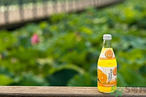 小蘇打能治癌癥嗎？蘇打水可以治癌癥嗎？