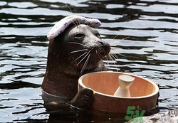 泡溫泉需要注意什么？泡溫泉注意事項(xiàng)