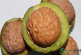 干核桃和濕核桃哪個好？干核桃和濕核桃的區(qū)別