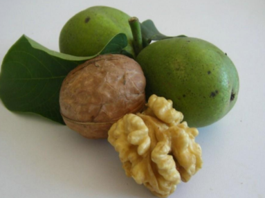 生核桃怎么保存？生核桃怎么保存最好？