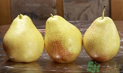 冬棗能和梨一起吃嗎?冬棗和梨一起吃會怎么樣 冬棗能和梨一起吃嗎?冬棗和梨一起吃會怎么樣