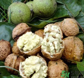 新鮮核桃吃多了會怎么樣？新鮮核桃吃多了會上火嗎？