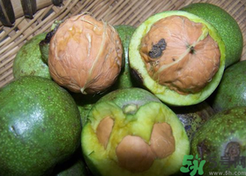 新鮮核桃吃多了會怎么樣？新鮮核桃吃多了會上火嗎？