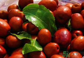 孕婦能吃新鮮紅棗嗎？新鮮紅棗孕婦可以吃嗎？