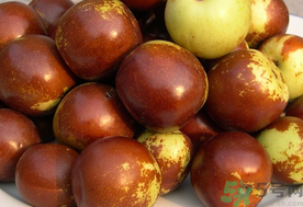 孕婦能吃新鮮紅棗嗎？新鮮紅棗孕婦可以吃嗎？