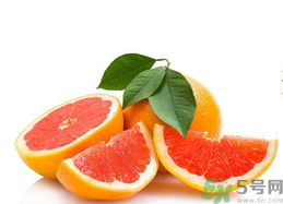 孕婦能吃葡萄柚嗎？孕婦可以吃葡萄柚嗎？