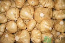 涼薯的營養(yǎng)價值 涼薯的功效與作用 涼薯的營養(yǎng)價值 涼薯的功效與作用