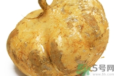 涼暑什么時候最好吃？涼薯發(fā)芽能吃嗎？