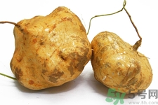 涼暑什么時候最好吃？涼薯發(fā)芽能吃嗎？