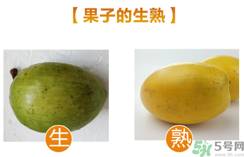 蛋黃果多少錢一斤？蛋黃果什么時(shí)候成熟？