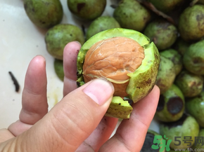 新鮮核桃多少錢一斤？青皮核桃多少錢一斤？