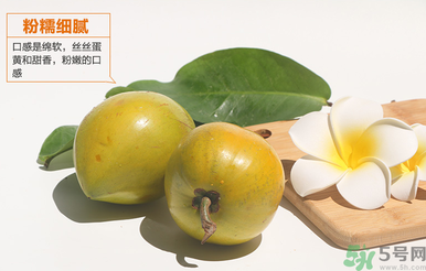 蛋黃果怎么催熟？生的蛋黃果如何催熟？