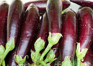 茄子籽變黑能吃嗎?茄子籽黑了還能吃嗎? 茄子籽變黑能吃嗎?茄子籽黑了還能吃嗎?