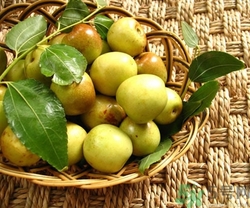 冬棗會(huì)打農(nóng)藥嗎?冬棗上的農(nóng)藥怎么處理 冬棗會(huì)打農(nóng)藥嗎?冬棗上的農(nóng)藥怎么處理