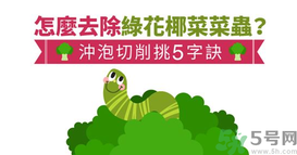 西蘭花里有蟲子怎么辦？花椰菜里面好多蟲怎么辦？