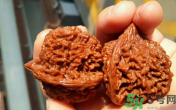 核桃長(zhǎng)蟲(chóng)了還能吃嗎？核桃長(zhǎng)蟲(chóng)子怎么處理？