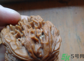 核桃長(zhǎng)蟲(chóng)了還能吃嗎？核桃長(zhǎng)蟲(chóng)子怎么處理？