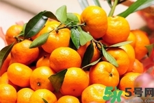 桔子和橘子有什么區(qū)別？桔子柑子橙子的區(qū)別
