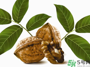 核桃一天吃幾個合適？核桃一天吃幾個最好？