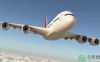 懷孕兩個月可以坐飛機嗎？懷孕兩個月坐飛機注意事項