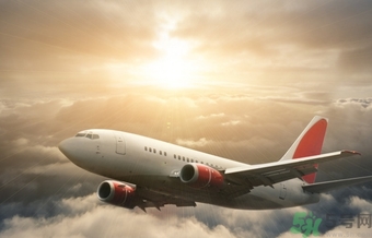 懷孕兩個月可以坐飛機嗎？懷孕兩個月坐飛機注意事項