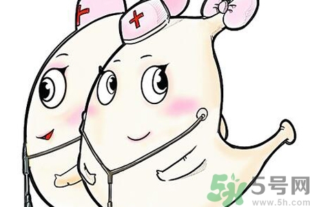 胃會(huì)餓小嗎？經(jīng)常肚子餓對(duì)胃有什么影響？