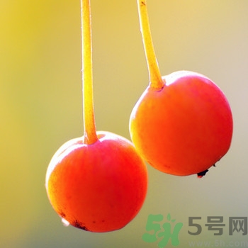 海棠果孕婦能吃嗎？海棠果的功效與作用