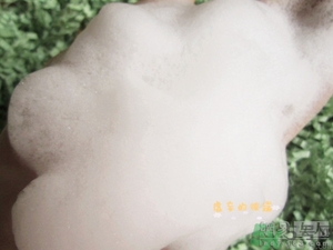 淳萃水舞櫻花洗發(fā)水好用嗎？淳萃水舞櫻花洗發(fā)水多少錢(qián)？