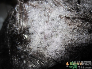 淳萃水舞櫻花洗發(fā)水好用嗎？淳萃水舞櫻花洗發(fā)水多少錢(qián)？