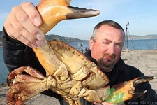 被螃蟹夾出血了怎么辦？螃蟹夾出血了怎么處理？