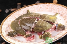 甲魚怎么殺？甲魚怎么處理？