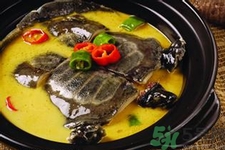 甲魚怎么吃最有營養(yǎng)？甲魚怎么吃最補身體？