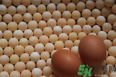 甲魚蛋多少錢一斤？甲魚蛋多少錢一個？