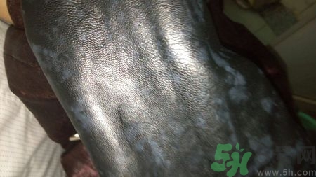 皮衣上的霉點怎么去除?皮衣發(fā)霉怎么處理?