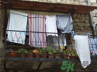 曬衣服的桿子叫什么?曬衣服的桿子多少錢一把 曬衣服的桿子叫什么?曬衣服的桿子多少錢一把