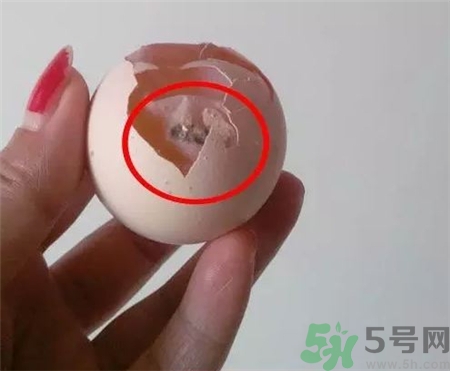 雞蛋殼有霉點還能吃嗎?雞蛋殼發(fā)霉了還能吃嗎? 雞蛋殼有霉點還能吃嗎?雞蛋殼發(fā)霉了還能吃嗎?