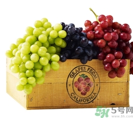 葡萄酒保質(zhì)期是多久？葡萄酒過(guò)期了能喝嗎？