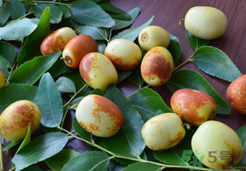 寶寶能吃鮮棗嗎？一歲寶寶可以吃鮮棗嗎？