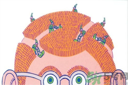 吃什么掉掉頭發(fā)？掉頭發(fā)吃什么好？