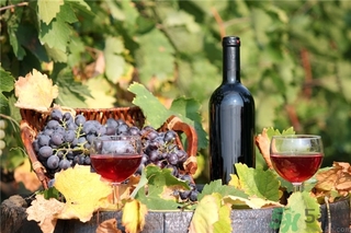 葡萄酒為什么要醒酒？葡萄酒醒酒的方法