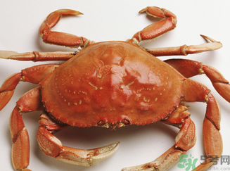 螃蟹和鮮棗能一起吃嗎？螃蟹和大棗能一起吃嗎？