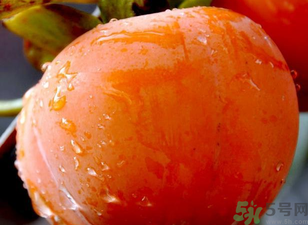 寶寶可以吃柿子嗎？寶寶能柿子嗎？