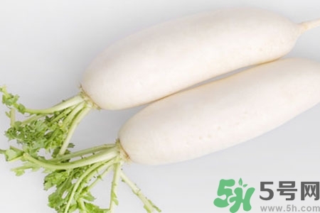 怎么挑白蘿卜好不好？挑選白蘿卜的小竅門