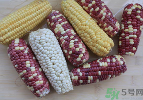 彩色玉米是轉(zhuǎn)基因嗎？彩色玉米能吃嗎？