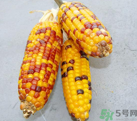 彩色玉米是轉(zhuǎn)基因嗎？彩色玉米能吃嗎？