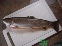 吃石斑魚(yú)會(huì)中毒嗎?石斑魚(yú)怎么處理 吃石斑魚(yú)會(huì)中毒嗎?石斑魚(yú)怎么處理