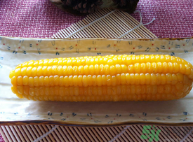 糯玉米煮多久能熟？糯玉米怎樣煮好吃？