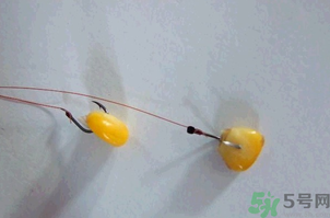 煮熟的玉米能釣魚嗎？煮熟的玉米能直接釣魚嗎？